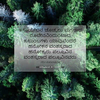 Picture 07 - ಅರಣ್ಯಕಾಂಡ 26:5 KANIRV - ಇಸ್ರಾಯೇಲನ ಚೊಚ್ಚಲು - Bible Verse Picture