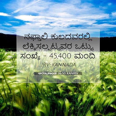 Picture 07 - ಅರಣ್ಯಕಾಂಡ 26:50 KANIRV - ನಫ್ತಾಲಿ - Bible Verse Picture