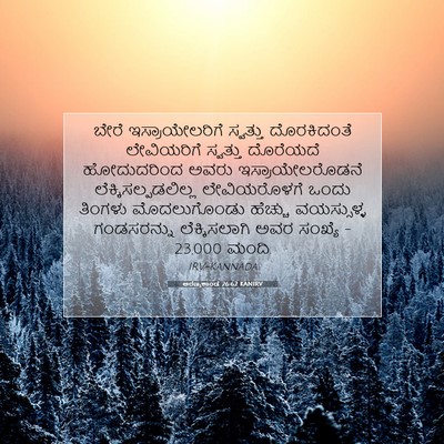 Picture 07 - ಅರಣ್ಯಕಾಂಡ 26:62 KANIRV - ಬೇರೆ ಇಸ್ರಾಯೇಲರಿಗೆ - Bible Verse Picture