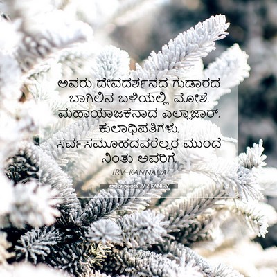Picture 07 - ಅರಣ್ಯಕಾಂಡ 27:2 KANIRV - ಅವರು ದೇವದರ್ಶನದ - Bible Verse Picture