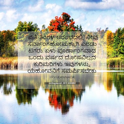Picture 07 - ಅರಣ್ಯಕಾಂಡ 28:11 KANIRV - “‘ಪ್ರತಿ ತಿಂಗಳ - Bible Verse Picture
