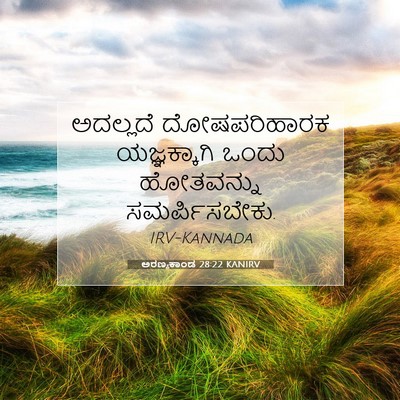 Picture 07 - ಅರಣ್ಯಕಾಂಡ 28:22 KANIRV - ಅದಲ್ಲದೆ - Bible Verse Picture