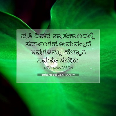 Picture 07 - ಅರಣ್ಯಕಾಂಡ 28:23 KANIRV - ಪ್ರತಿ ದಿನದ - Bible Verse Picture