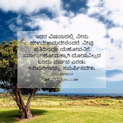 Picture 07 - ಅರಣ್ಯಕಾಂಡ 28:3 KANIRV - ಇದರ ವಿಷಯದಲ್ಲಿ - Bible Verse Picture