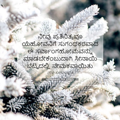 Picture 07 - ಅರಣ್ಯಕಾಂಡ 28:6 KANIRV - ನೀವು ಪ್ರತಿನಿತ್ಯವೂ - Bible Verse Picture