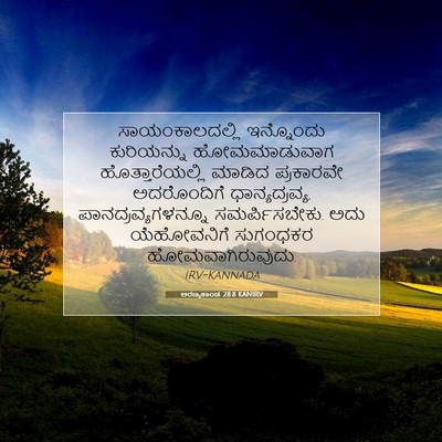 Picture 07 - ಅರಣ್ಯಕಾಂಡ 28:8 KANIRV - ಸಾಯಂಕಾಲದಲ್ಲಿ - Bible Verse Picture