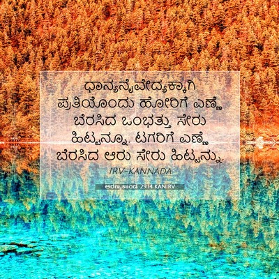 Picture 07 - ಅರಣ್ಯಕಾಂಡ 29:14 KANIRV -  - Bible Verse Picture
