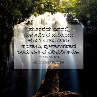 Picture 07 - ಅರಣ್ಯಕಾಂಡ 29:20 KANIRV - “‘ಮೂರನೆಯ ದಿನದಲ್ಲಿ - Bible Verse Picture