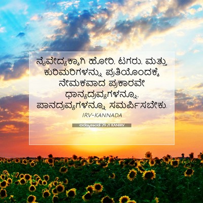 Picture 07 - ಅರಣ್ಯಕಾಂಡ 29:21 KANIRV - ನೈವೇದ್ಯಕ್ಕಾಗಿ - Bible Verse Picture