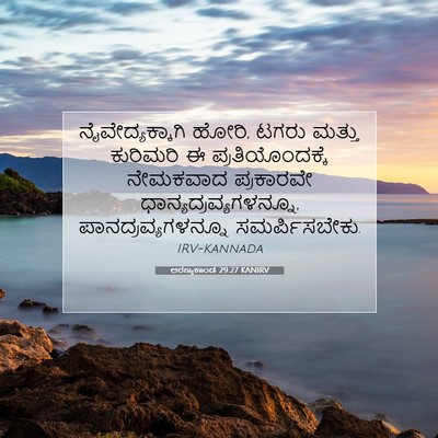 Picture 07 - ಅರಣ್ಯಕಾಂಡ 29:27 KANIRV - ನೈವೇದ್ಯಕ್ಕಾಗಿ - Bible Verse Picture