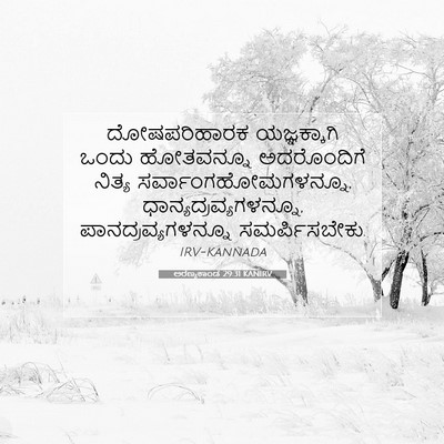 Picture 07 - ಅರಣ್ಯಕಾಂಡ 29:31 KANIRV - ದೋಷಪರಿಹಾರಕ - Bible Verse Picture