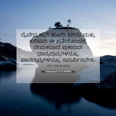 Picture 07 - ಅರಣ್ಯಕಾಂಡ 29:33 KANIRV - ನೈವೇದ್ಯಕ್ಕಾಗಿ - Bible Verse Picture