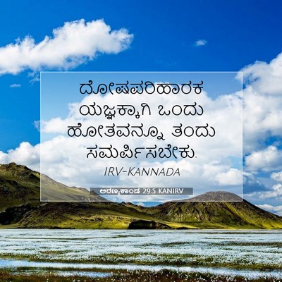 Picture 07 - ಅರಣ್ಯಕಾಂಡ 29:5 KANIRV - ದೋಷಪರಿಹಾರಕ - Bible Verse Picture