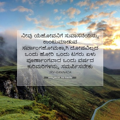 Picture 07 - ಅರಣ್ಯಕಾಂಡ 29:8 KANIRV - ನೀವು ಯೆಹೋವನಿಗೆ - Bible Verse Picture