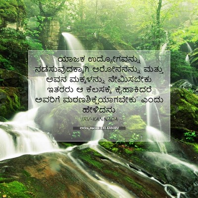 Picture 07 - ಅರಣ್ಯಕಾಂಡ 3:10 KANIRV - ಯಾಜಕ ಉದ್ಯೋಗವನ್ನು - Bible Verse Picture