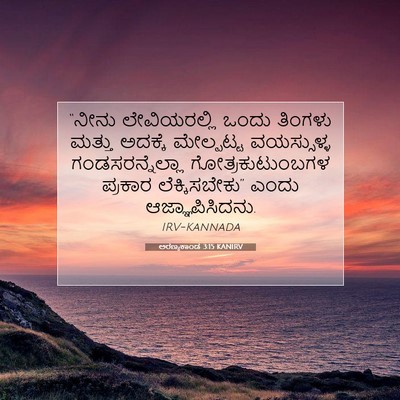 Picture 07 - ಅರಣ್ಯಕಾಂಡ 3:15 KANIRV - “ನೀನು ಲೇವಿಯರಲ್ಲಿ - Bible Verse Picture