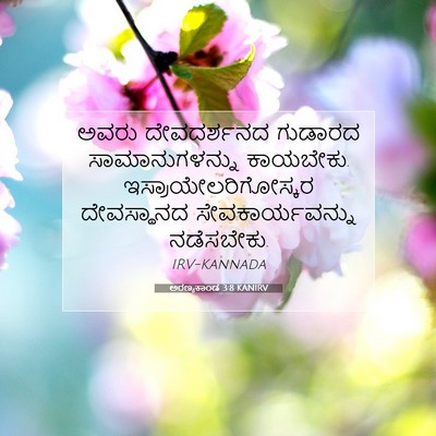 Picture 07 - ಅರಣ್ಯಕಾಂಡ 3:8 KANIRV - ಅವರು ದೇವದರ್ಶನದ - Bible Verse Picture