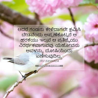 Picture 07 - ಅರಣ್ಯಕಾಂಡ 30:8 KANIRV - ಆದರೆ ಗಂಡನು - Bible Verse Picture