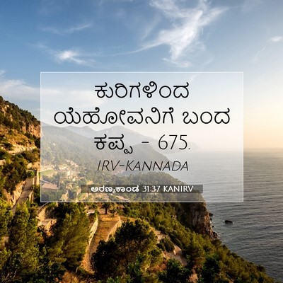Picture 07 - ಅರಣ್ಯಕಾಂಡ 31:37 KANIRV - ಕುರಿಗಳಿಂದ - Bible Verse Picture