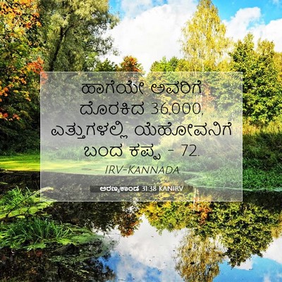 Picture 07 - ಅರಣ್ಯಕಾಂಡ 31:38 KANIRV - ಹಾಗೆಯೇ ಅವರಿಗೆ - Bible Verse Picture