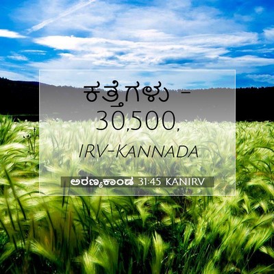 Picture 07 - ಅರಣ್ಯಕಾಂಡ 31:45 KANIRV - ಕತ್ತೆಗಳು - - Bible Verse Picture