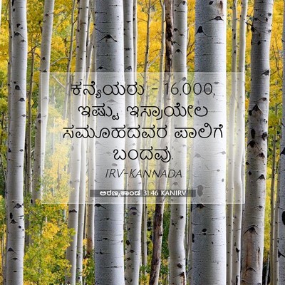 Picture 07 - ಅರಣ್ಯಕಾಂಡ 31:46 KANIRV - ಕನ್ಯೆಯರು - 16,000, - Bible Verse Picture