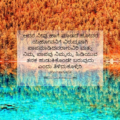 Picture 07 - ಅರಣ್ಯಕಾಂಡ 32:23 KANIRV - “ಆದರೆ ನೀವು ಹಾಗೆ - Bible Verse Picture