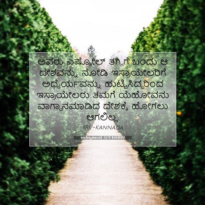 Picture 07 - ಅರಣ್ಯಕಾಂಡ 32:9 KANIRV - ಅವರು ಎಷ್ಕೋಲ್ - Bible Verse Picture