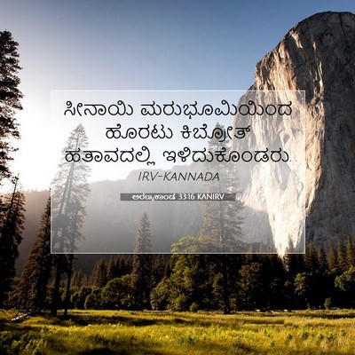 Picture 07 - ಅರಣ್ಯಕಾಂಡ 33:16 KANIRV - ಸೀನಾಯಿ - Bible Verse Picture