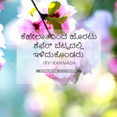 Picture 07 - ಅರಣ್ಯಕಾಂಡ 33:23 KANIRV - ಕೆಹೇಲಾತದಿಂದ ಹೊರಟು - Bible Verse Picture