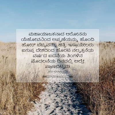 Picture 07 - ಅರಣ್ಯಕಾಂಡ 33:38 KANIRV - ಮಹಾಯಾಜಕನಾದ ಆರೋನನು - Bible Verse Picture
