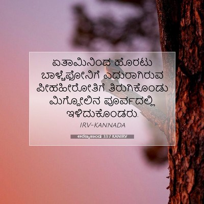 Picture 07 - ಅರಣ್ಯಕಾಂಡ 33:7 KANIRV - ಏತಾಮಿನಿಂದ ಹೊರಟು - Bible Verse Picture