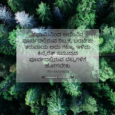 Picture 07 - ಅರಣ್ಯಕಾಂಡ 34:11 KANIRV - ಶೆಫಾಮಿನಿಂದ ಅಯಿನಿನ - Bible Verse Picture