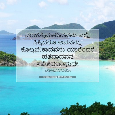 Picture 07 - ಅರಣ್ಯಕಾಂಡ 35:19 KANIRV - ನರಹತ್ಯೆಮಾಡಿದವನು - Bible Verse Picture