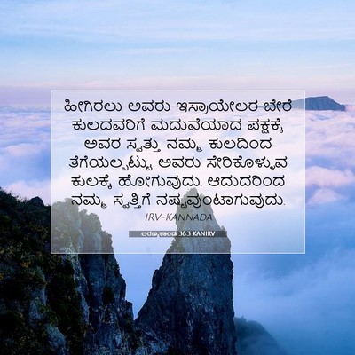 Picture 07 - ಅರಣ್ಯಕಾಂಡ 36:3 KANIRV - ಹೀಗಿರಲು ಅವರು - Bible Verse Picture