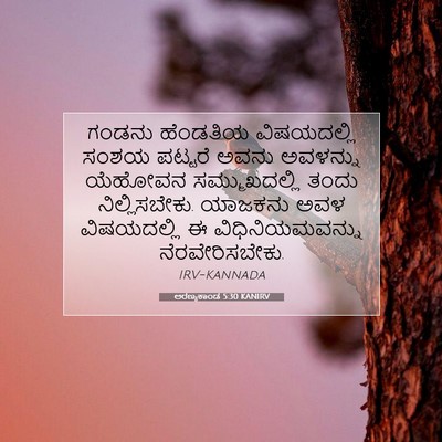 Picture 07 - ಅರಣ್ಯಕಾಂಡ 5:30 KANIRV - ಗಂಡನು ಹೆಂಡತಿಯ - Bible Verse Picture