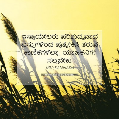 Picture 07 - ಅರಣ್ಯಕಾಂಡ 5:9 KANIRV - ಇಸ್ರಾಯೇಲರು - Bible Verse Picture