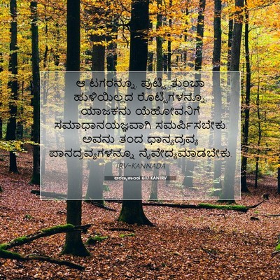 Picture 07 - ಅರಣ್ಯಕಾಂಡ 6:17 KANIRV - ಆ ಟಗರನ್ನೂ, ಪುಟ್ಟಿ - Bible Verse Picture