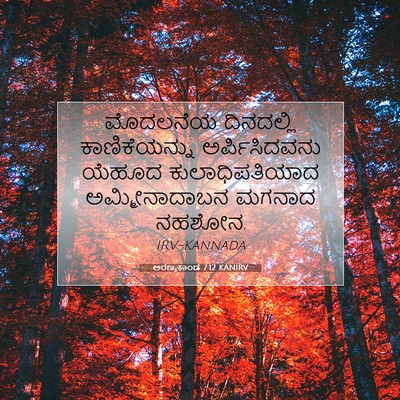 Picture 07 - ಅರಣ್ಯಕಾಂಡ 7:12 KANIRV - ಮೊದಲನೆಯ ದಿನದಲ್ಲಿ - Bible Verse Picture