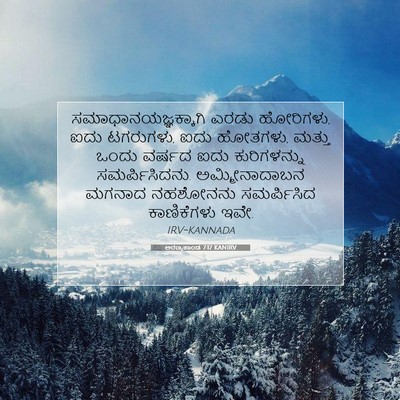 Picture 07 - ಅರಣ್ಯಕಾಂಡ 7:17 KANIRV - ಸಮಾಧಾನಯಜ್ಞಕ್ಕಾಗಿ - Bible Verse Picture