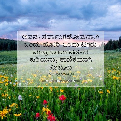 Picture 07 - ಅರಣ್ಯಕಾಂಡ 7:27 KANIRV - ಅವನು - Bible Verse Picture