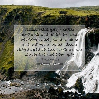 Picture 07 - ಅರಣ್ಯಕಾಂಡ 7:35 KANIRV - ಸಮಾಧಾನಯಜ್ಞಕ್ಕಾಗಿ - Bible Verse Picture