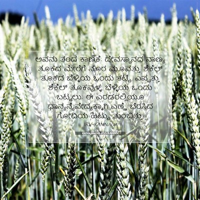 Picture 07 - ಅರಣ್ಯಕಾಂಡ 7:55 KANIRV - ಅವನು ತಂದ ಕಾಣಿಕೆ: - Bible Verse Picture