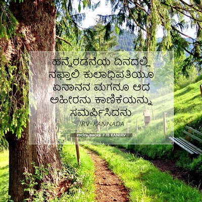 Picture 07 - ಅರಣ್ಯಕಾಂಡ 7:78 KANIRV - ಹನ್ನೆರಡನೆಯ - Bible Verse Picture