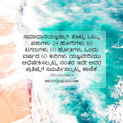 Picture 07 - ಅರಣ್ಯಕಾಂಡ 7:88 KANIRV - ಸಮಾಧಾನಯಜ್ಞಕ್ಕಾಗಿ - Bible Verse Picture