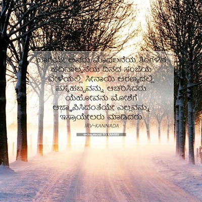Picture 07 - ಅರಣ್ಯಕಾಂಡ 9:5 KANIRV - ಹಾಗೆಯೇ ಅವರು - Bible Verse Picture