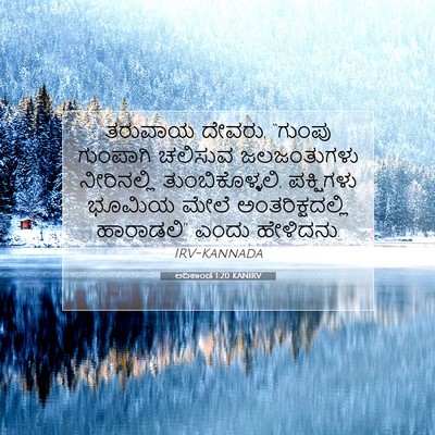 Picture 07 - ಆದಿಕಾಂಡ 1:20 KANIRV - ತರುವಾಯ ದೇವರು, - Bible Verse Picture
