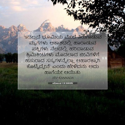 Picture 07 - ಆದಿಕಾಂಡ 1:30 KANIRV - ಇದಲ್ಲದೆ ಭೂಮಿಯ - Bible Verse Picture