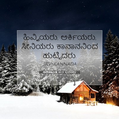 Picture 07 - ಆದಿಕಾಂಡ 10:17 KANIRV - ಹಿವ್ವಿಯರು, - Bible Verse Picture