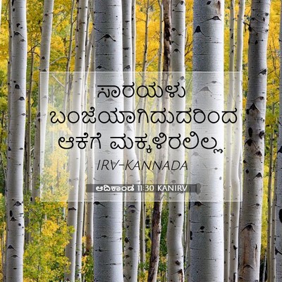 Picture 07 - ಆದಿಕಾಂಡ 11:30 KANIRV - ಸಾರಯಳು - Bible Verse Picture